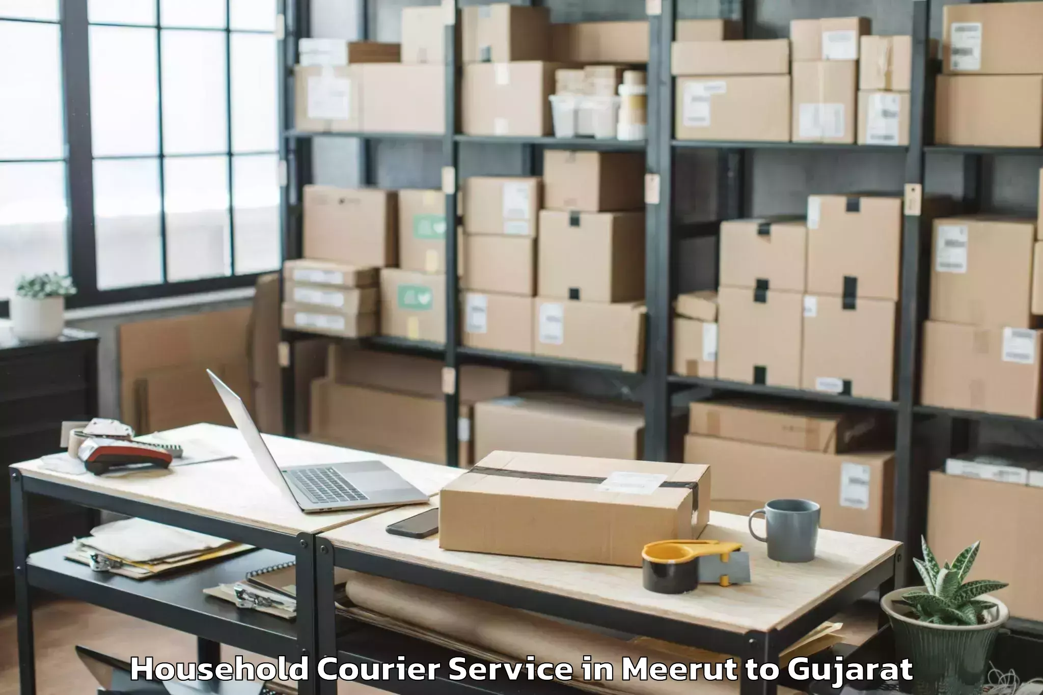 Quality Meerut to Vansada Household Courier